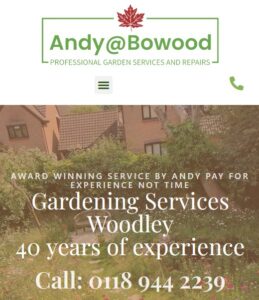 Website design Woodley Reading