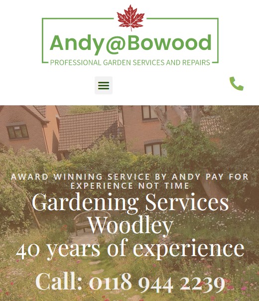 Website design Woodley Reading