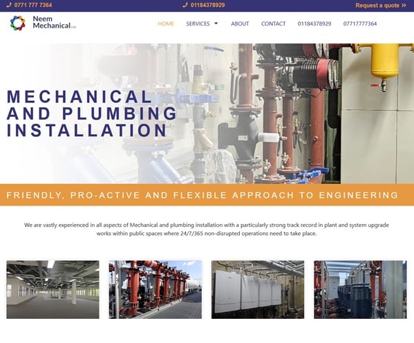 Neem Mechnical web site host and design