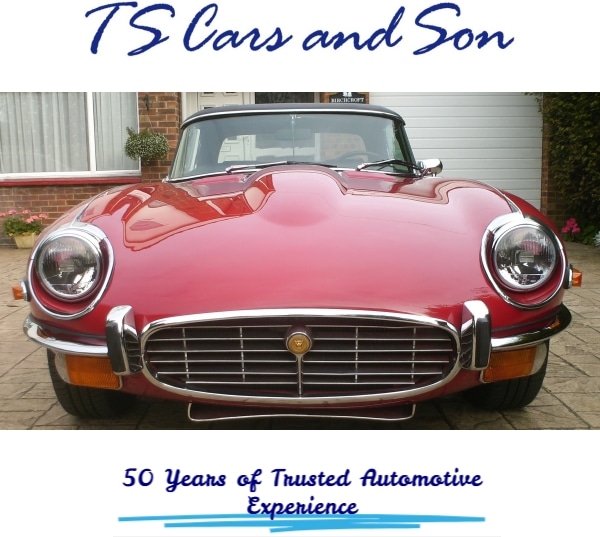 starter-website-design